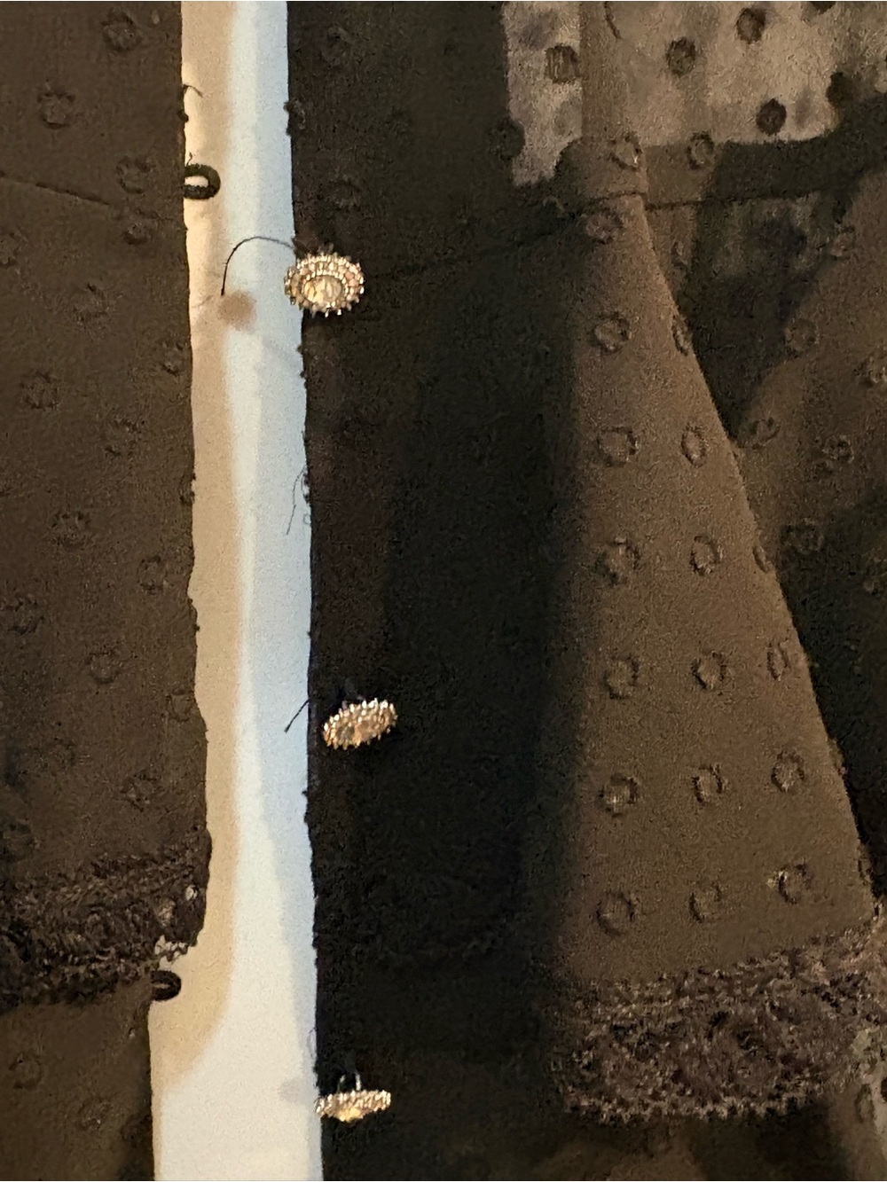 Zara Black Sheer Dot Ruffle Blouse with Decorative Buttons - Picture 5 of 8